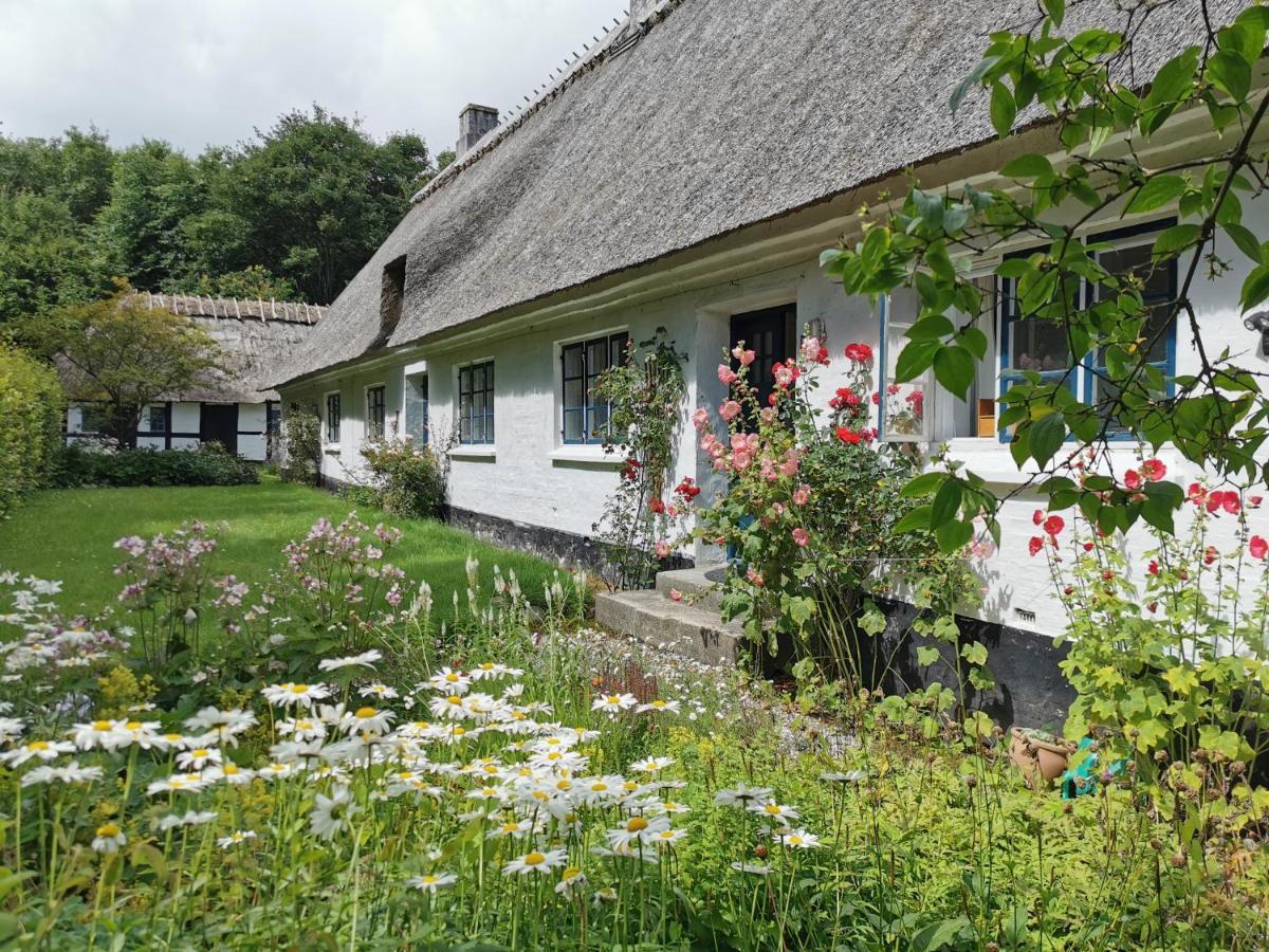 Plantepressen B&B Fåborg Zewnętrze zdjęcie